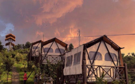 武义网红路,探寻浙江小城的新晋打卡圣地